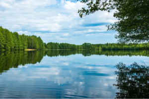 Какие основные свойства воды?