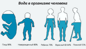 Как правильно пить воду?