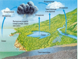 От чего зависит соленость морской воды?