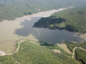 От чего зависит соленость морской воды?